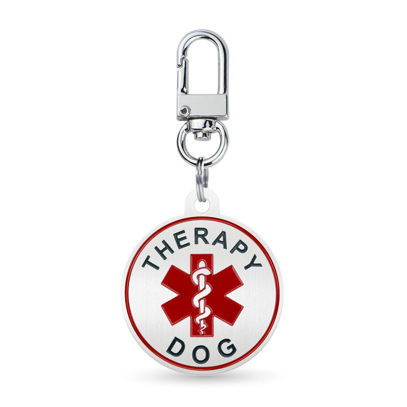 Service Dog ID Tag for Small & Large Dogs - Emotional Support ESA Medical Alert Collar Accessory - Durable Stainless Steel Service Animal Tag - Classic Therapy Dog Service Tag in Silver Large